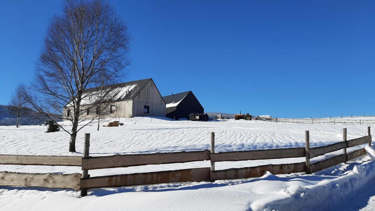 Wzgorze Owiec Sheep Hill Mostowice Eksteriør bilde