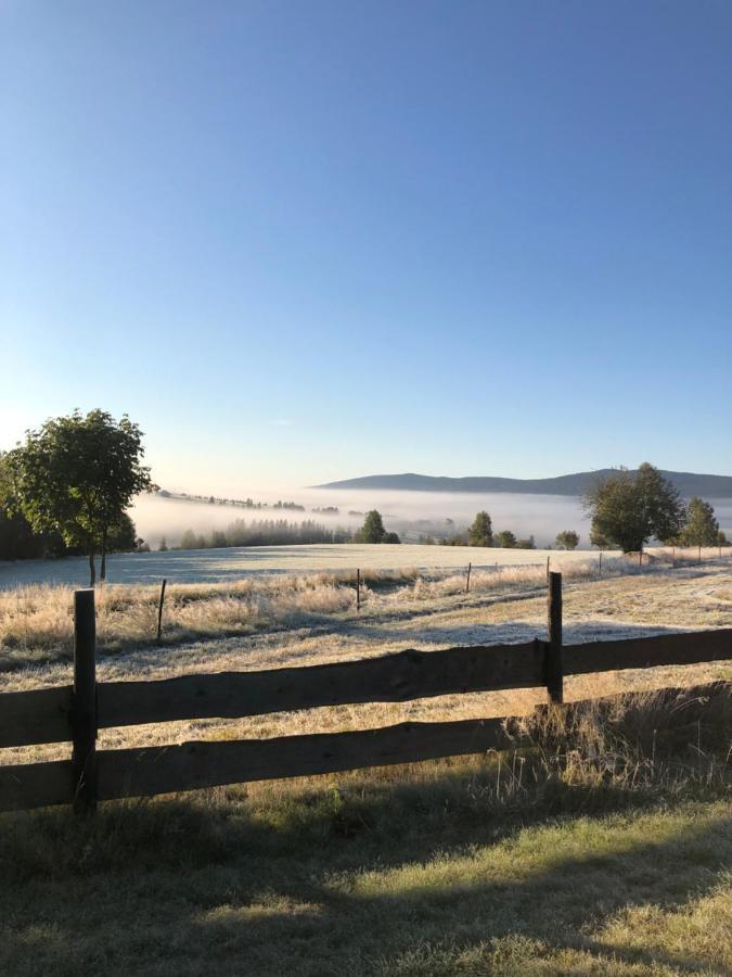 Wzgorze Owiec Sheep Hill Mostowice Eksteriør bilde
