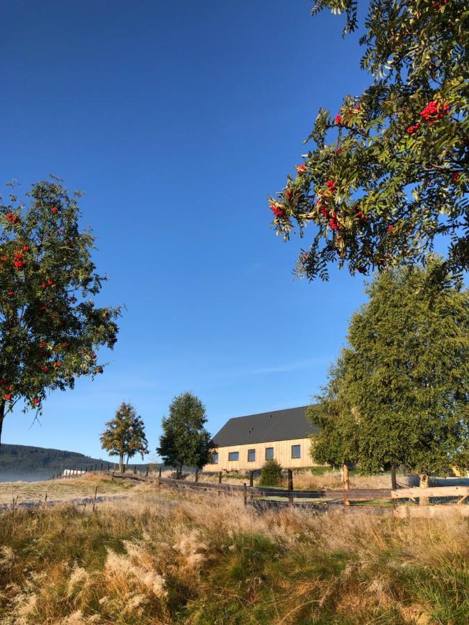 Wzgorze Owiec Sheep Hill Mostowice Eksteriør bilde