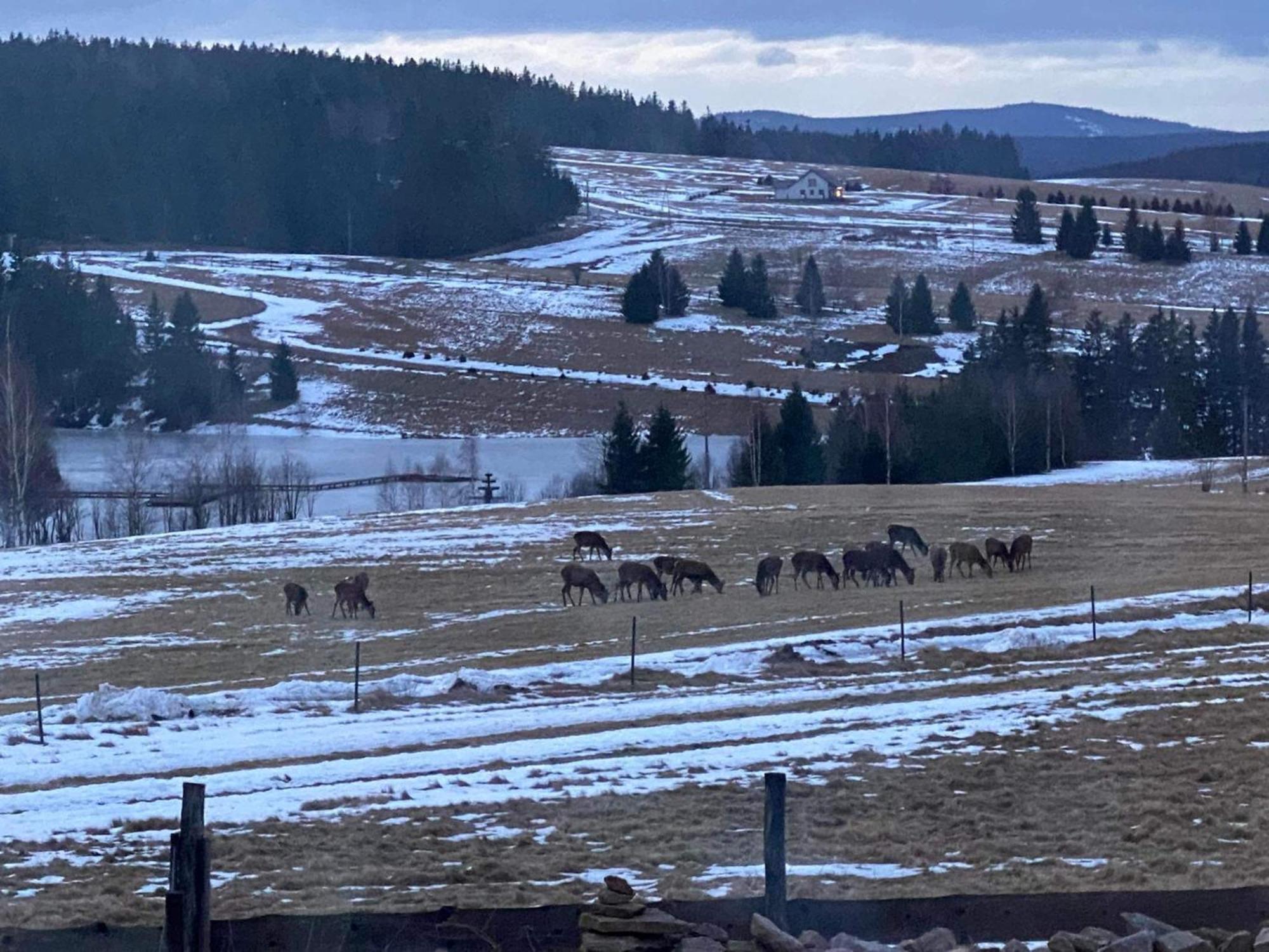 Wzgorze Owiec Sheep Hill Mostowice Eksteriør bilde